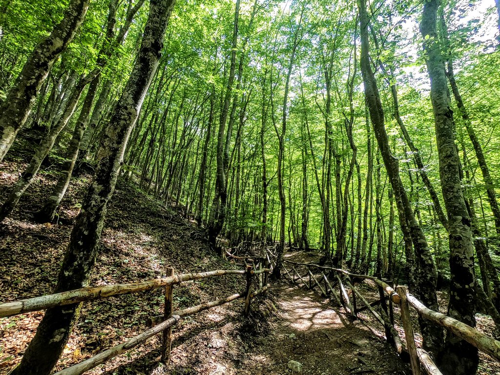 Boschi del Parco Nazionale d'abruzzo tra le mete di montagna vicino Roma